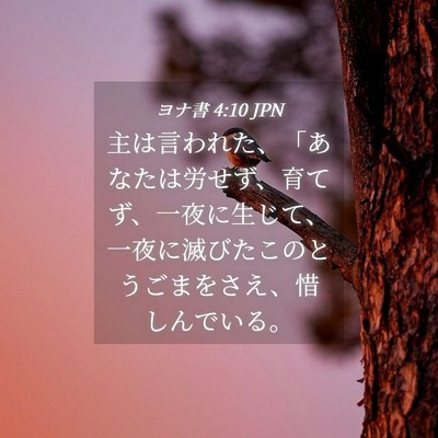 Picture 04 - ヨナ書 4:10 JPN - 主は言われた、「あなたは労せず、 - Bible Verse Picture
