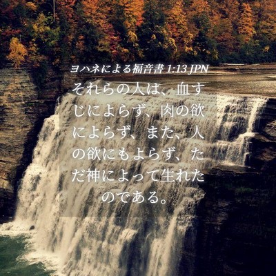 Picture 04 - ヨハネによる福音書 1:13 JPN - それらの人は、血すじによらず、肉 - Bible Verse Picture