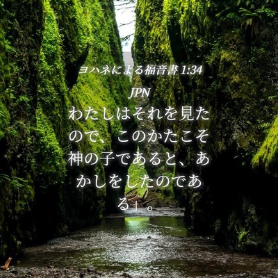 Picture 04 - ヨハネによる福音書 1:34 JPN - わたしはそれを見たので、このかた - Bible Verse Picture