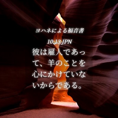 Picture 04 - ヨハネによる福音書 10:13 JPN - 彼は雇人であって、羊のことを心に - Bible Verse Picture