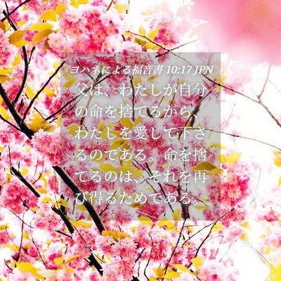 Picture 04 - ヨハネによる福音書 10:17 JPN - 父は、わたしが自分の命を捨てるか - Bible Verse Picture