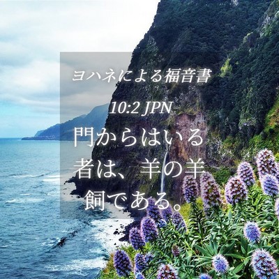Picture 04 - ヨハネによる福音書 10:2 JPN - 門からはいる者は、羊の羊飼である - Bible Verse Picture