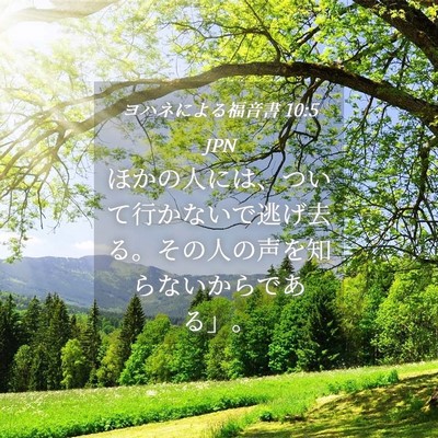 Picture 04 - ヨハネによる福音書 10:5 JPN - ほかの人には、ついて行かないで逃 - Bible Verse Picture