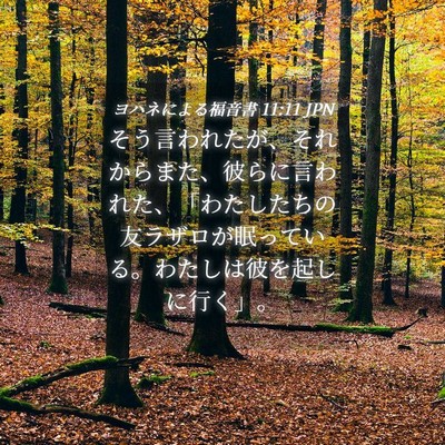Picture 04 - ヨハネによる福音書 11:11 JPN - そう言われたが、それからまた、彼 - Bible Verse Picture