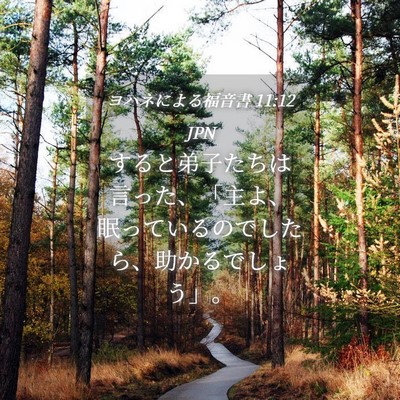 Picture 04 - ヨハネによる福音書 11:12 JPN - すると弟子たちは言った、「主よ、 - Bible Verse Picture
