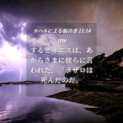 Picture 04 - ヨハネによる福音書 11:14 JPN - するとイエスは、あからさまに彼ら - Bible Verse Picture