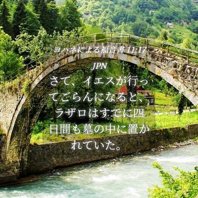 Picture 04 - ヨハネによる福音書 11:17 JPN - さて、イエスが行ってごらんになる - Bible Verse Picture