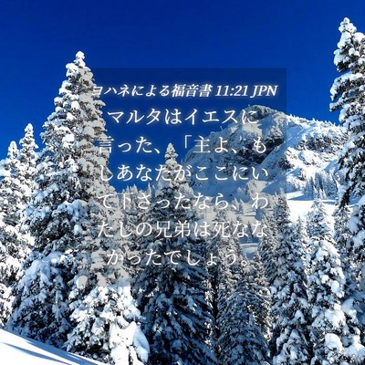 Picture 04 - ヨハネによる福音書 11:21 JPN - マルタはイエスに言った、「主よ、 - Bible Verse Picture