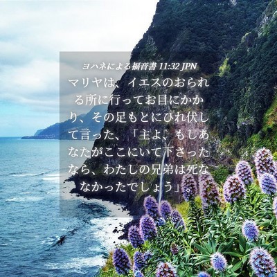 Picture 04 - ヨハネによる福音書 11:32 JPN - マリヤは、イエスのおられる所に行 - Bible Verse Picture