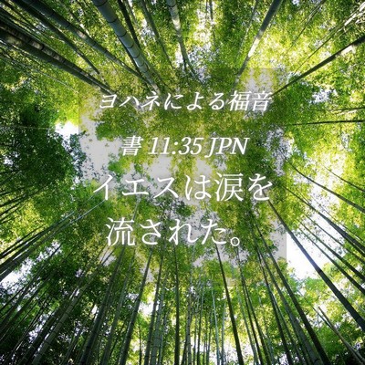 Picture 04 - ヨハネによる福音書 11:35 JPN - イエスは涙を流された。 - Bible Verse Picture