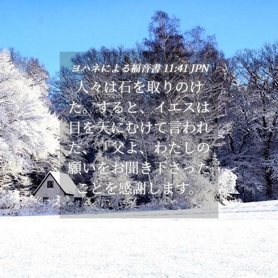 Picture 04 - ヨハネによる福音書 11:41 JPN - 人々は石を取りのけた。すると、イ - Bible Verse Picture