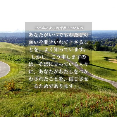 Picture 04 - ヨハネによる福音書 11:42 JPN - あなたがいつでもわたしの願いを聞 - Bible Verse Picture