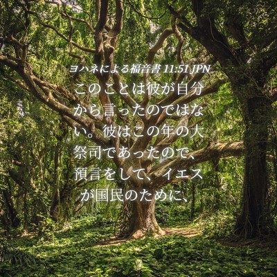 Picture 04 - ヨハネによる福音書 11:51 JPN - このことは彼が自分から言ったので - Bible Verse Picture