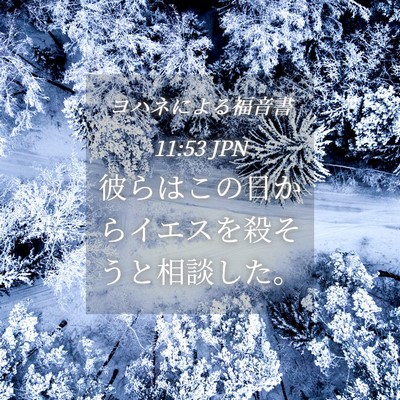 Picture 04 - ヨハネによる福音書 11:53 JPN - 彼らはこの日からイエスを殺そうと - Bible Verse Picture