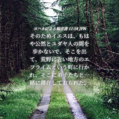 Picture 04 - ヨハネによる福音書 11:54 JPN - そのためイエスは、もはや公然とユ - Bible Verse Picture