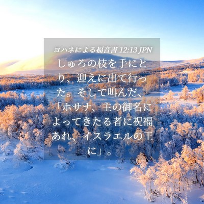 Picture 04 - ヨハネによる福音書 12:13 JPN - しゅろの枝を手にとり、迎えに出て - Bible Verse Picture