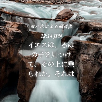 Picture 04 - ヨハネによる福音書 12:14 JPN - イエスは、ろばの子を見つけて、そ - Bible Verse Picture