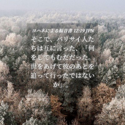 Picture 04 - ヨハネによる福音書 12:19 JPN - そこで、パリサイ人たちは互に言っ - Bible Verse Picture