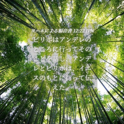 Picture 04 - ヨハネによる福音書 12:22 JPN - ピリポはアンデレのところに行って - Bible Verse Picture