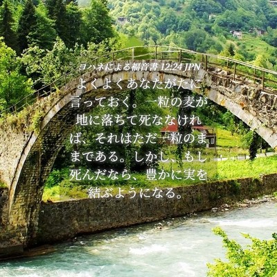 Picture 04 - ヨハネによる福音書 12:24 JPN - よくよくあなたがたに言っておく。 - Bible Verse Picture