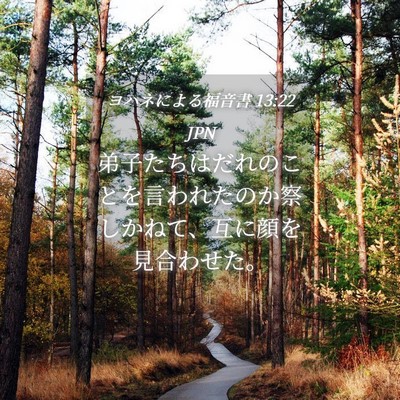 Picture 04 - ヨハネによる福音書 13:22 JPN - 弟子たちはだれのことを言われたの - Bible Verse Picture