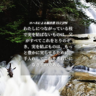 Picture 04 - ヨハネによる福音書 15:2 JPN - わたしにつながっている枝で実を結 - Bible Verse Picture