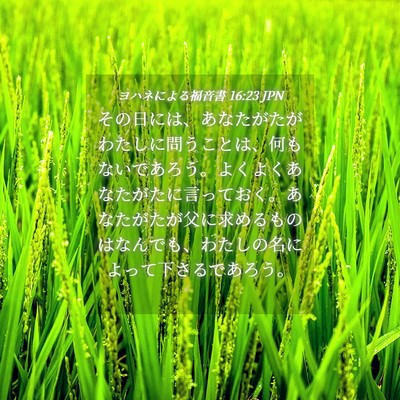 Picture 04 - ヨハネによる福音書 16:23 JPN - その日には、あなたがたがわたしに - Bible Verse Picture