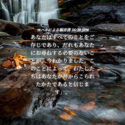 Picture 04 - ヨハネによる福音書 16:30 JPN - あなたはすべてのことをご存じであ - Bible Verse Picture