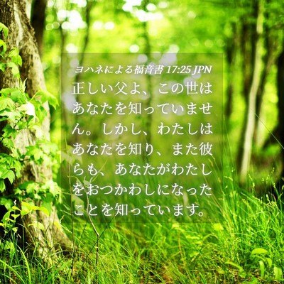 Picture 04 - ヨハネによる福音書 17:25 JPN - 正しい父よ、この世はあなたを知っ - Bible Verse Picture
