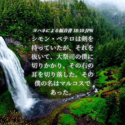 Picture 04 - ヨハネによる福音書 18:10 JPN - シモン・ペテロは剣を持っていたが - Bible Verse Picture