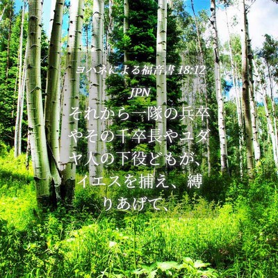 Picture 04 - ヨハネによる福音書 18:12 JPN - それから一隊の兵卒やその千卒長や - Bible Verse Picture