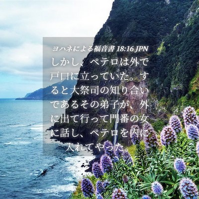 Picture 04 - ヨハネによる福音書 18:16 JPN - しかし、ペテロは外で戸口に立って - Bible Verse Picture