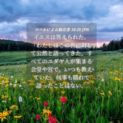 Picture 04 - ヨハネによる福音書 18:20 JPN - イエスは答えられた、「わたしはこ - Bible Verse Picture