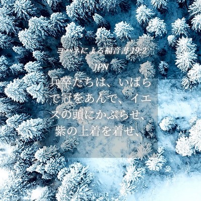 Picture 04 - ヨハネによる福音書 19:2 JPN - 兵卒たちは、いばらで冠をあんで、 - Bible Verse Picture