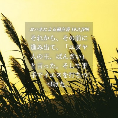 Picture 04 - ヨハネによる福音書 19:3 JPN - それから、その前に進み出て、「ユ - Bible Verse Picture