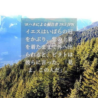 Picture 04 - ヨハネによる福音書 19:5 JPN - イエスはいばらの冠をかぶり、紫の - Bible Verse Picture