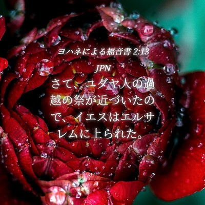 Picture 04 - ヨハネによる福音書 2:13 JPN - さて、ユダヤ人の過越の祭が近づい - Bible Verse Picture