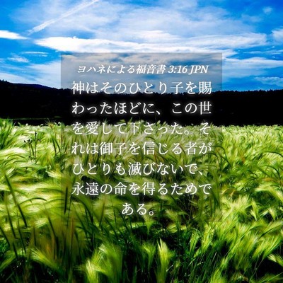 Picture 04 - ヨハネによる福音書 3:16 JPN - 神はそのひとり子を賜わったほどに - Bible Verse Picture