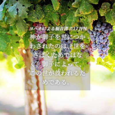 Picture 04 - ヨハネによる福音書 3:17 JPN - 神が御子を世につかわされたのは、 - Bible Verse Picture
