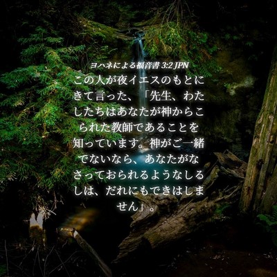 Picture 04 - ヨハネによる福音書 3:2 JPN - この人が夜イエスのもとにきて言っ - Bible Verse Picture