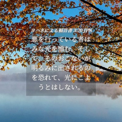 Picture 04 - ヨハネによる福音書 3:20 JPN - 悪を行っている者はみな光を憎む。 - Bible Verse Picture