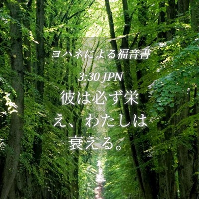 Picture 04 - ヨハネによる福音書 3:30 JPN - 彼は必ず栄え、わたしは衰える。 - Bible Verse Picture