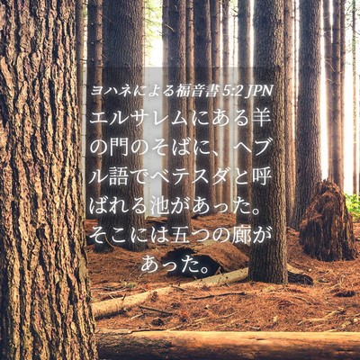 Picture 04 - ヨハネによる福音書 5:2 JPN - エルサレムにある羊の門のそばに、 - Bible Verse Picture