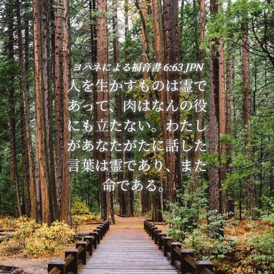 Picture 04 - ヨハネによる福音書 6:63 JPN - 人を生かすものは霊であって、肉は - Bible Verse Picture