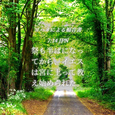 Picture 04 - ヨハネによる福音書 7:14 JPN - 祭も半ばになってから、イエスは宮 - Bible Verse Picture