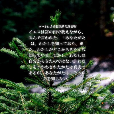 Picture 04 - ヨハネによる福音書 7:28 JPN - イエスは宮の内で教えながら、叫ん - Bible Verse Picture