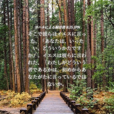 Picture 04 - ヨハネによる福音書 8:25 JPN - そこで彼らはイエスに言った、「あ - Bible Verse Picture