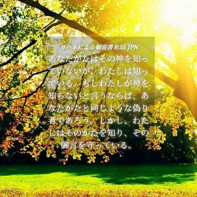 Picture 04 - ヨハネによる福音書 8:55 JPN - あなたがたはその神を知っていない - Bible Verse Picture
