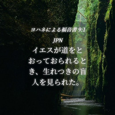 Picture 04 - ヨハネによる福音書 9:1 JPN - イエスが道をとおっておられるとき - Bible Verse Picture