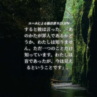 Picture 04 - ヨハネによる福音書 9:25 JPN - すると彼は言った、「あのかたが罪 - Bible Verse Picture
